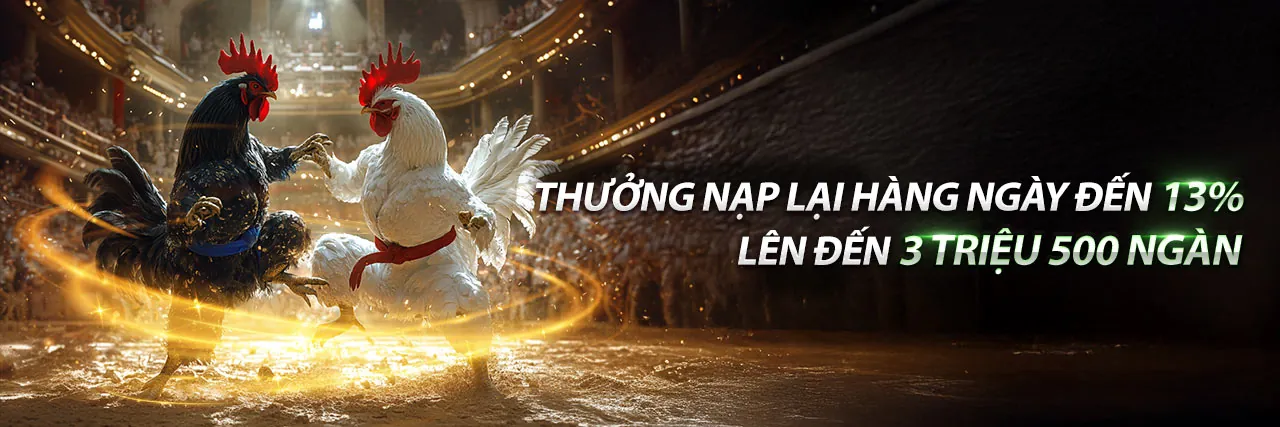 Tổng quan về các trò chơi phổ biến tại Roobet Casino
